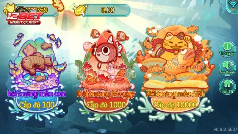 Hướng Dẫn Chơi Game Mèo Câu Cá Chi Tiết Cho Người Mới Bắt Đầu